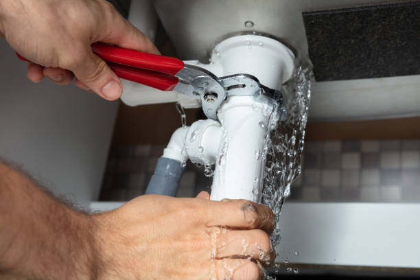 Best Water damage cleanup near me  in Opp, AL