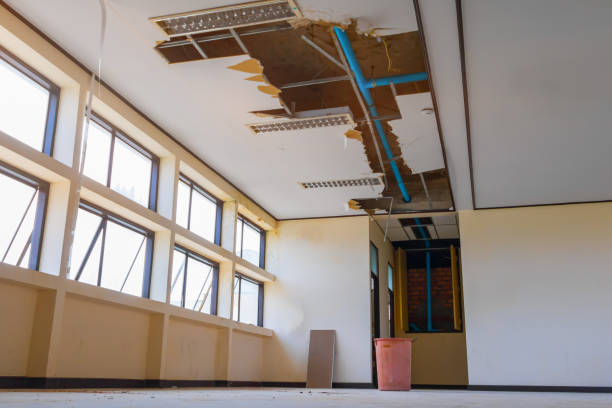 Best Local water damage restoration  in Opp, AL