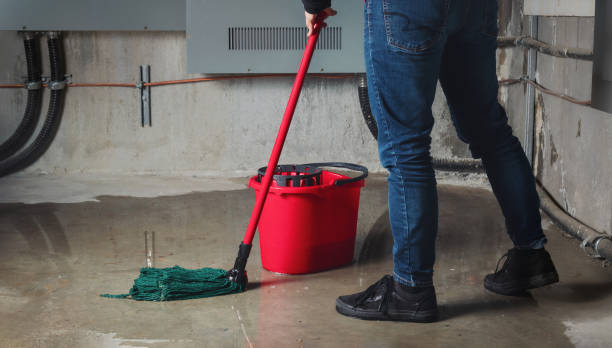 Best Carpet water damage restoration  in Opp, AL