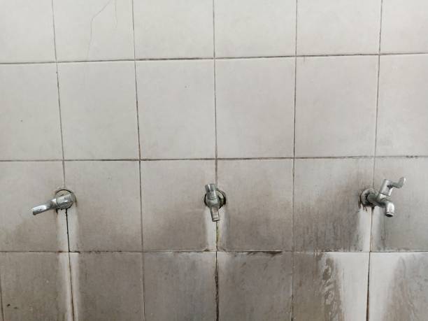 Best Mold removal after water damage  in Opp, AL
