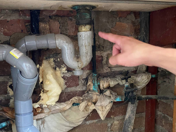 Best Sewage cleanup and water damage restoration  in Opp, AL