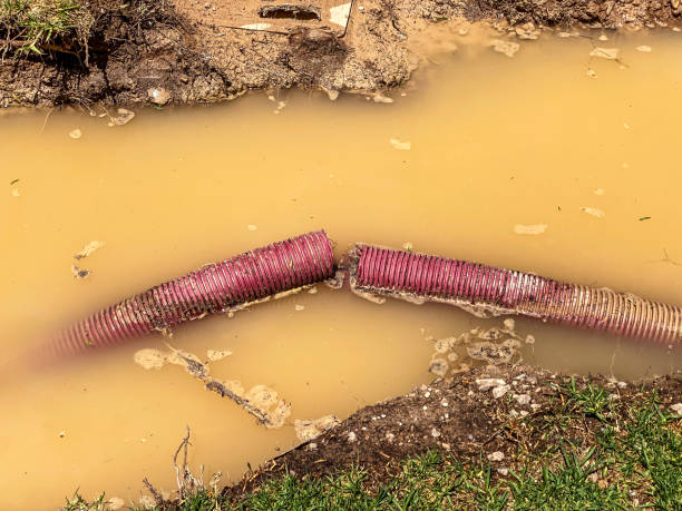 Best Water damage restoration services  in Opp, AL